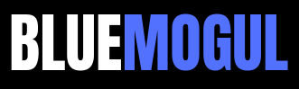 bluemogulenterprise